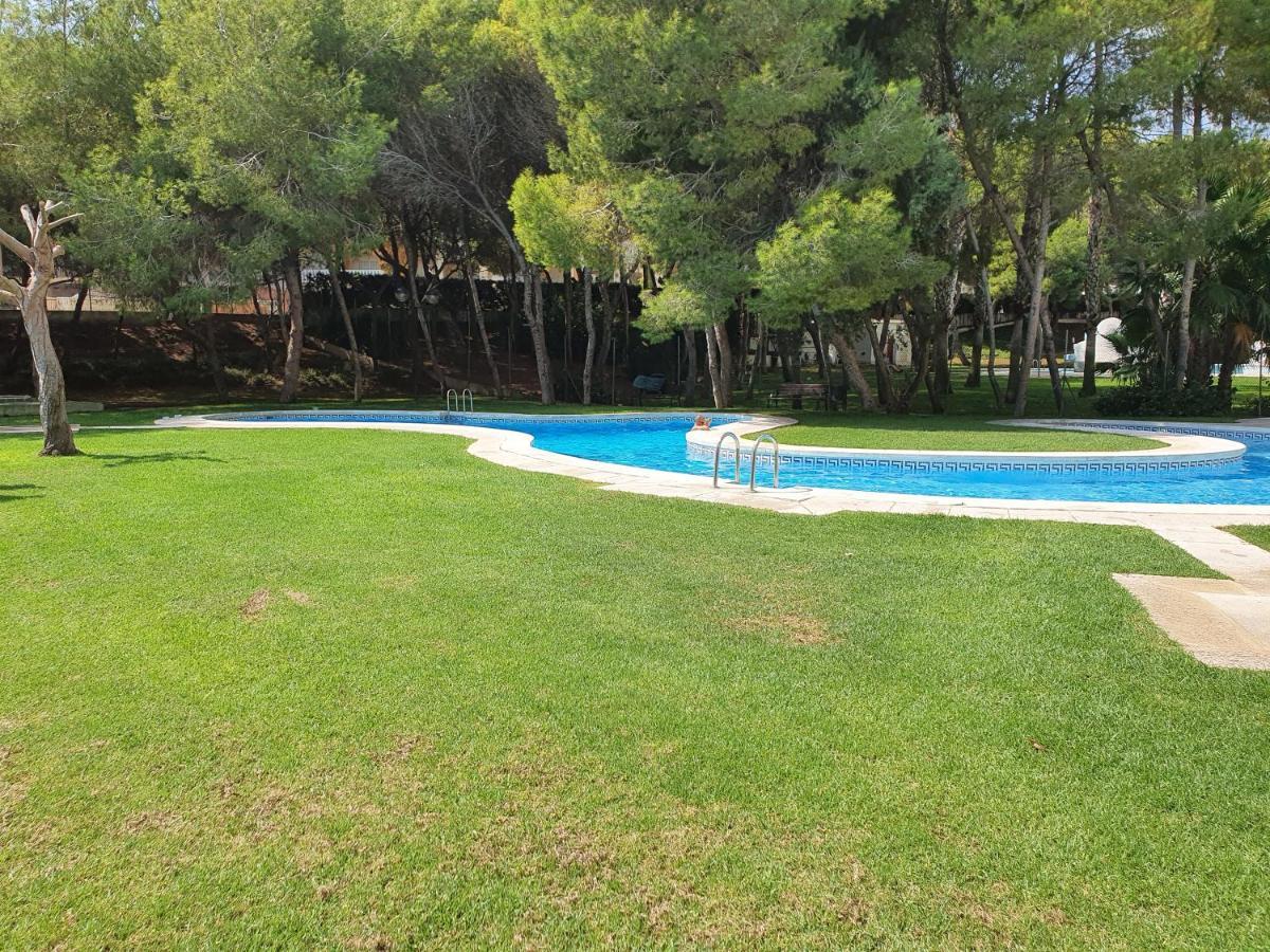 Apartment In Campoamor Overlooking The Swimming Pool Exterior photo